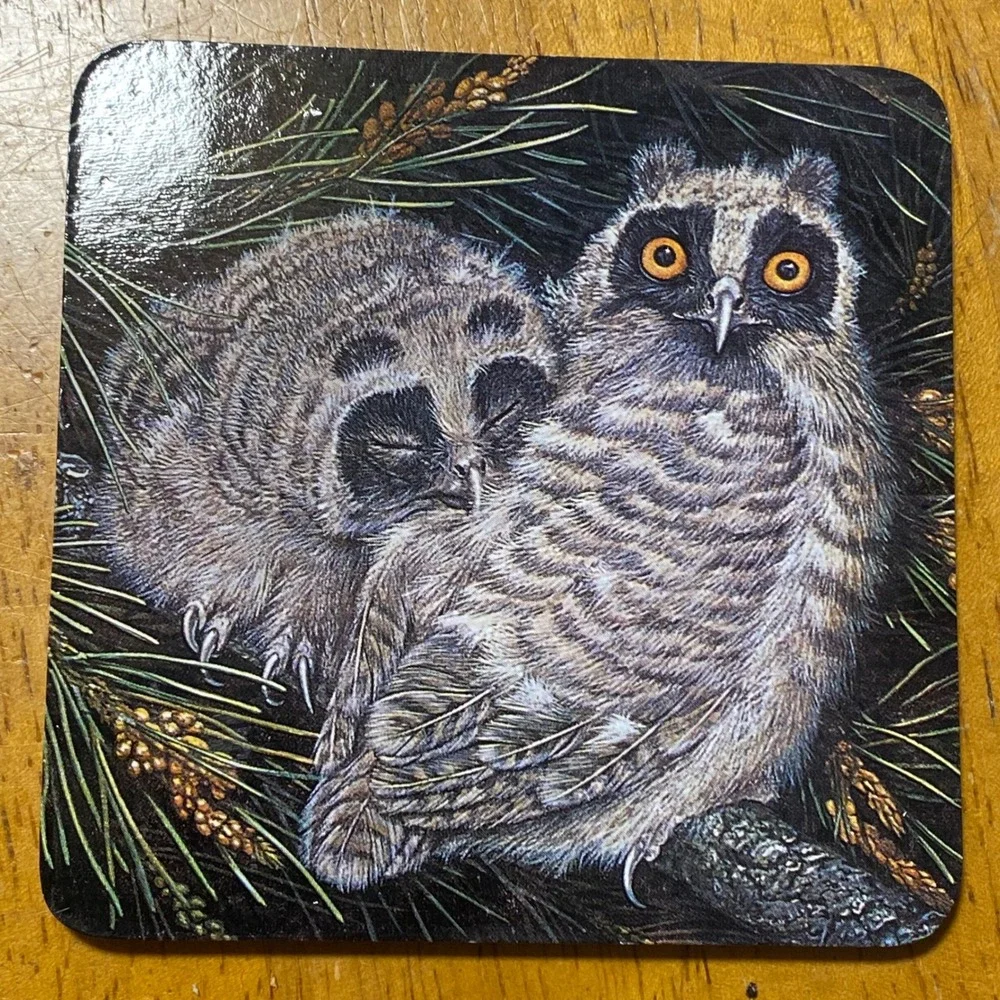 Dick Twinney Owl Coasters Set of 6 Vintage Wildlife Art Multi Color Owls